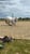 Horse ad