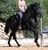 Annuncio cavallo