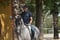 Annuncio cavallo