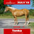 Anuncio de caballos