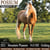 Annuncio cavallo