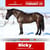Horse ad