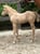 Annonce cheval