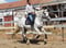 Horse ad