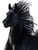 Horse ad