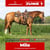 Paardadvertentie
