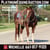 Horse ad