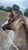 Annuncio cavallo