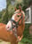 Annuncio cavallo
