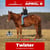 Anuncio de caballos