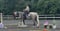 Horse ad
