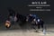 Horse ad