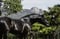 Annuncio cavallo