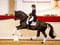 Annuncio cavallo