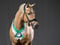 Horse ad