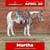 Horse ad