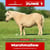 Paardadvertentie