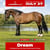 Horse ad