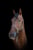 Horse ad