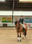 Anuncio de caballos