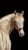Horse ad