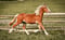 Anuncio de caballos