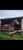 Horse ad