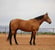 Annuncio cavallo