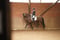 Horse ad