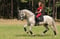 Annuncio cavallo