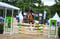 Annuncio cavallo
