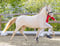 Annonce cheval