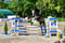 Horse ad