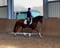 Horse ad