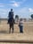 Horse ad