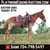 Annuncio cavallo