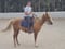 Horse ad