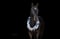 Horse ad