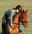 Paardadvertentie