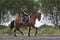 Annuncio cavallo