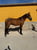 Horse ad