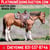 Horse ad