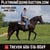 Horse ad
