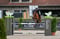 Annonce cheval