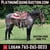 Horse ad