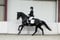 Annuncio cavallo
