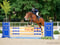 Annuncio cavallo