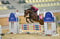 Horse ad