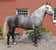 Annuncio cavallo