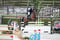 Annuncio cavallo